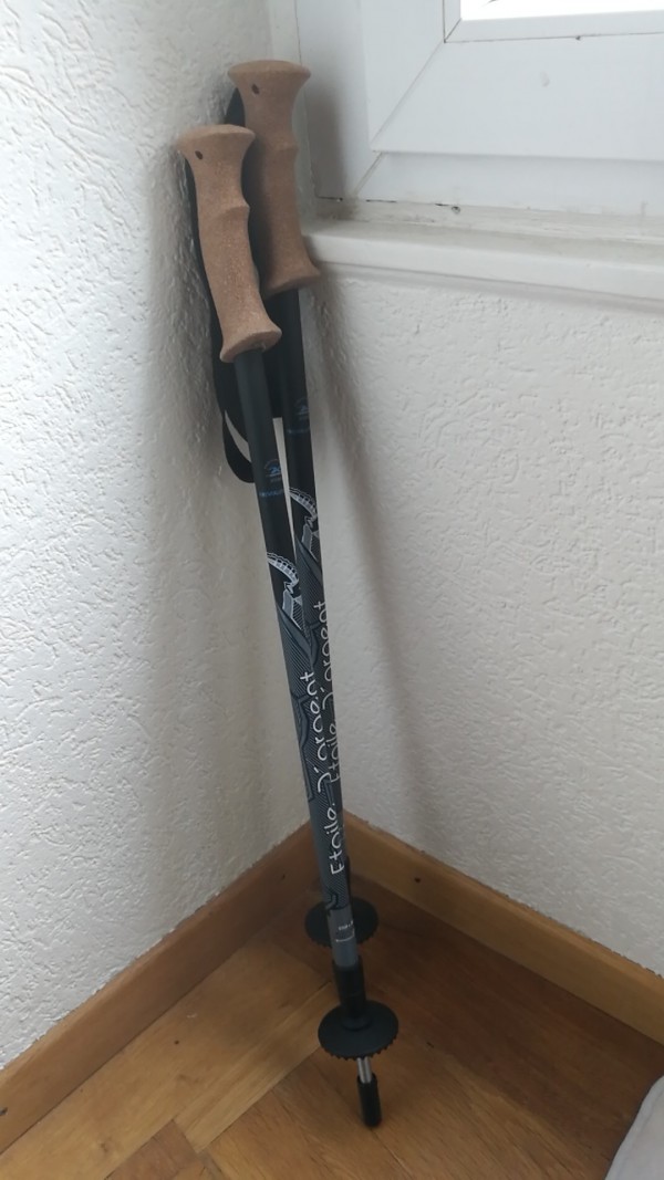 Batons de marche réglable