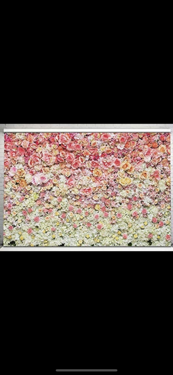 Décors - tapisserie  - fond de rose