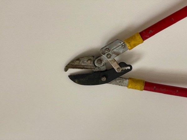 Cisaille pour branches